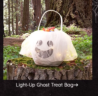 SHOP LIGHT-UP GHOST TREAT BAG