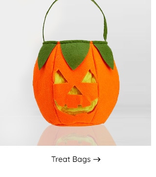 TREAT BAGS