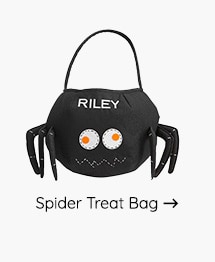 SPIDER TREAT BAG