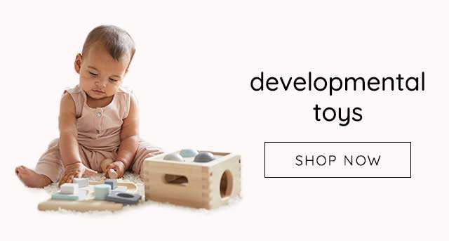 DEVELOPMENTAL TOYS