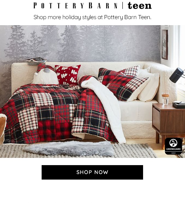 POTTERY BARN TEEN