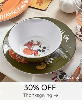 30% OFF THANKSGIVING