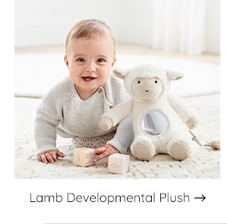 LAMB DEVELOPMENTAL PLUSH