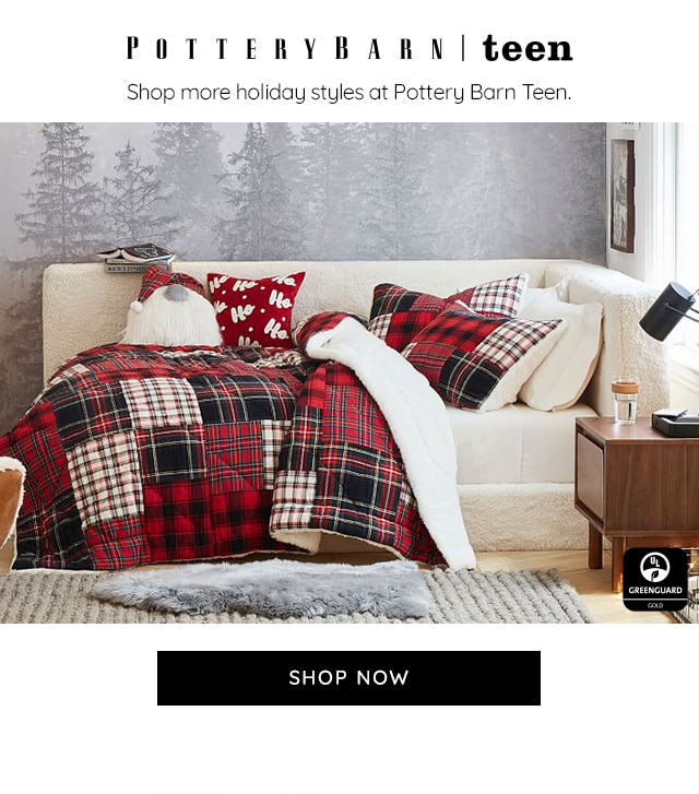 POTTERY BARN TEEN