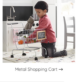 METAL SHOPPING CART