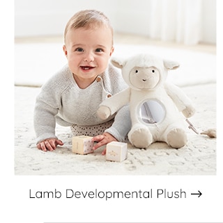 LAMB DEVELOPMENTAL PLUSH