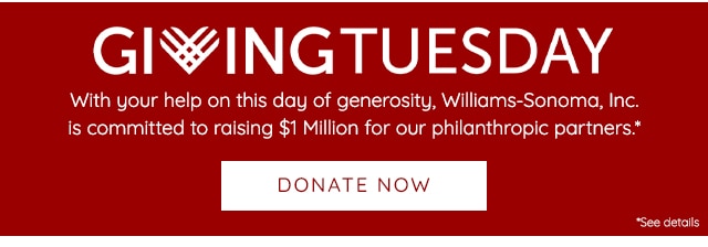 GIVING TUESDAY - DONATE NOW