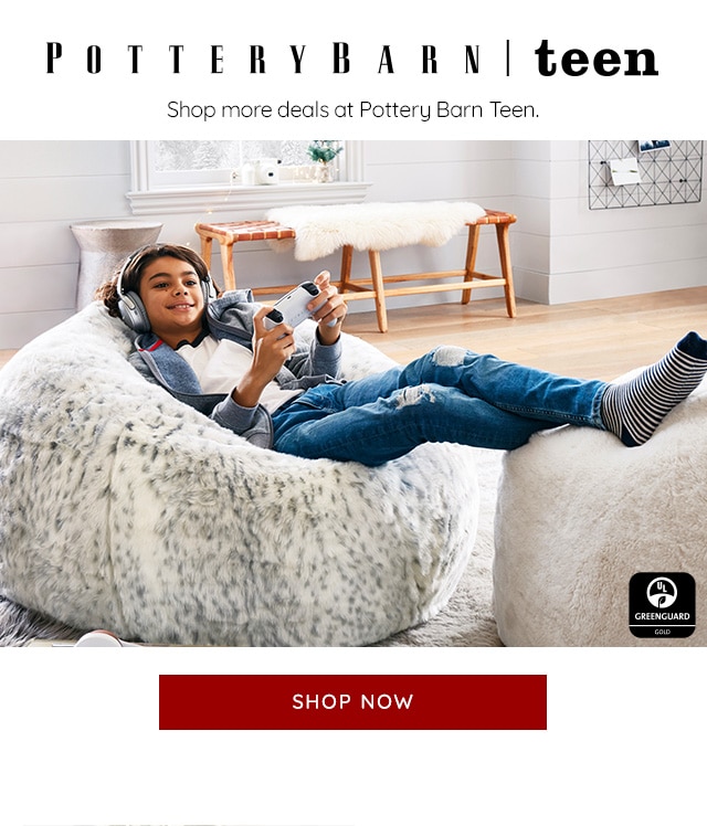 POTTERY BARN TEEN