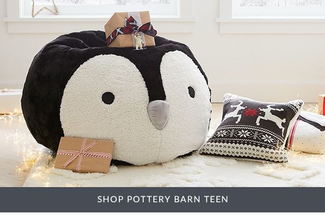 SHOP POTTERY BARN TEEN