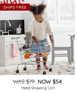 METAL SHOPPING CART