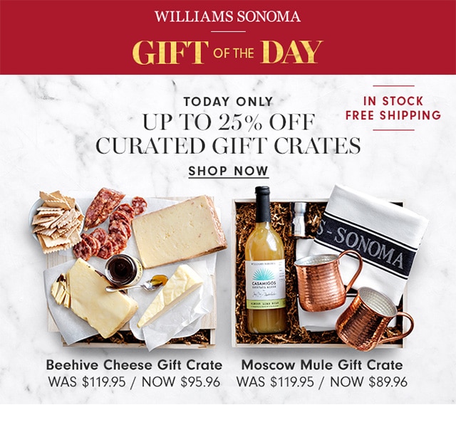WILLIAMS SONOMA - GIFT OF THE DAY