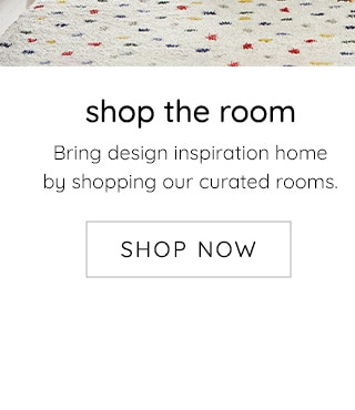 SHOP THE ROOM