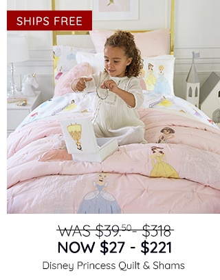 DISNEY PRINCESS QUILT & SHAMS