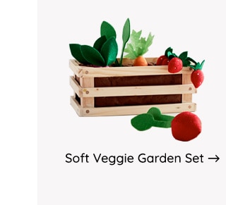 SHOP SOFT VEGGIE GARDEN SET