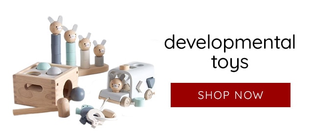 SHOP DEVELOPMENTAL TOYS