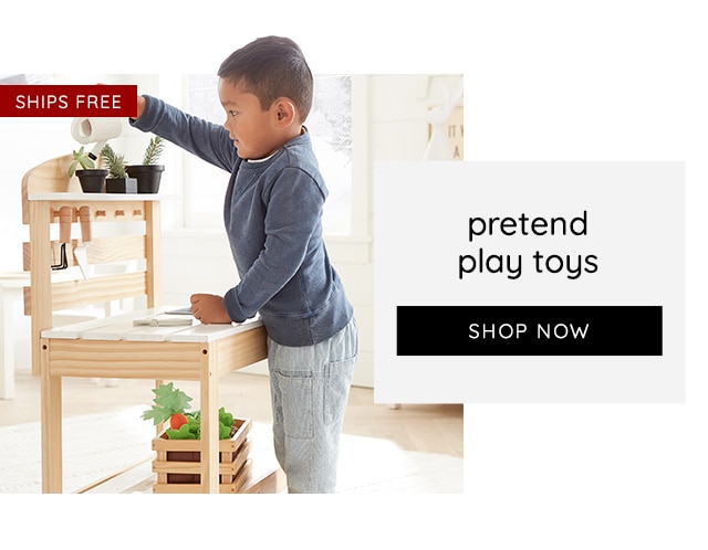 PRETEND PLAY TOYS