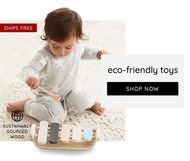 ECO-FRIENDLY TOYS