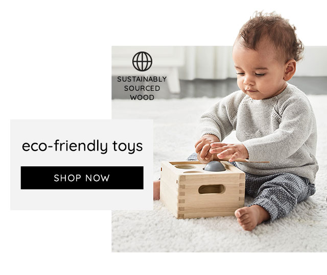 ECO-FRIENDLY TOYS