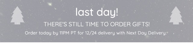 LAST DAY! ORDER BY 11PM PT FOR 12/24 DELIVERY WITH NEXT DAY DELIVERY