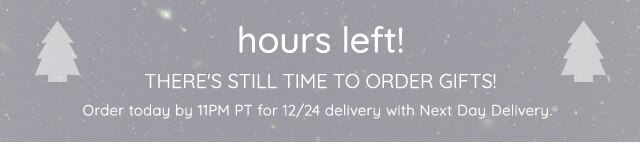 HOURS LEFT! ORDER BY 11PM PT FOR 12/24 DELIVERY WITH NEXT DAY DELIVERY