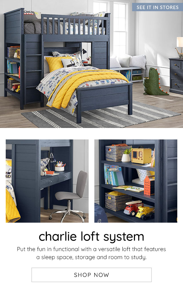 CHARLIE LOFT SYSTEM