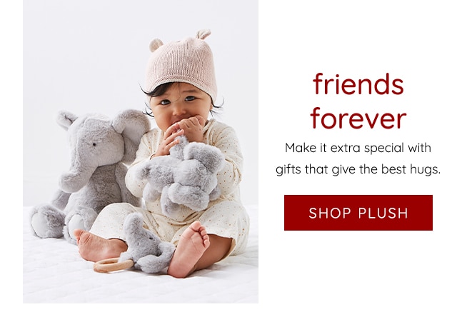 FRIENDS FOREVER - SHOP PLUSH