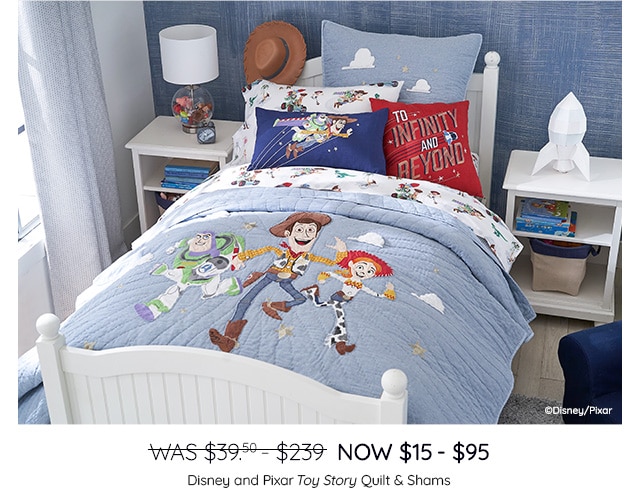WAS $39.50-$239, NOW $15-95 - SHOP DISNEY AND PIXAR TOY STORY QUILT & SHAMS