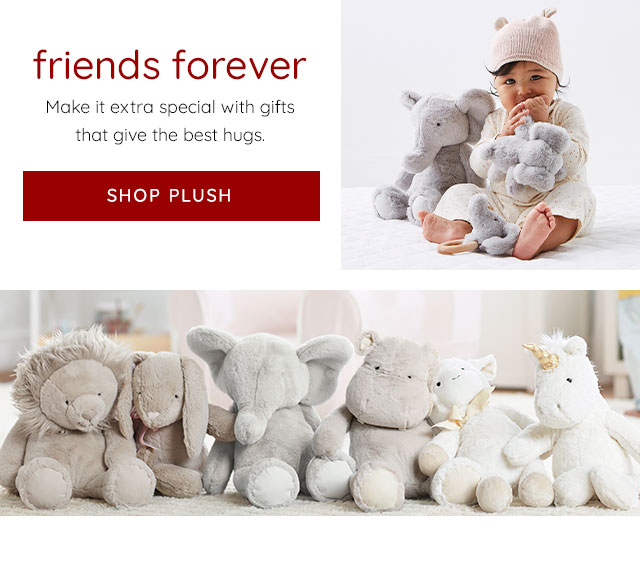 FRIENDS FOREVER - SHOP PLUSH