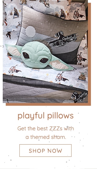 PLAYFUL PILLOWS