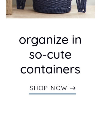 ORGANIZE IN SO-CUTE CONTAINERS