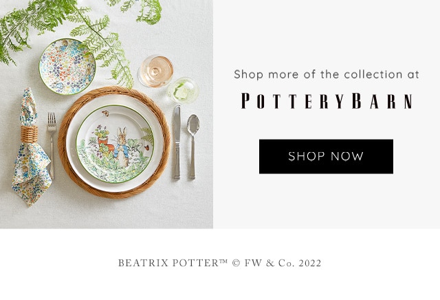 SHOP MORE AT POTTERY BARN