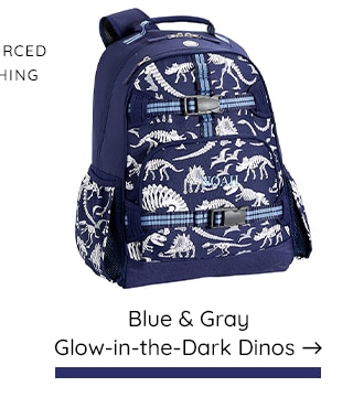 BLUE & GRAY GLOW-IN-THE-DARK DINOS