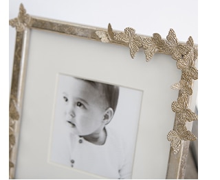 SILVER BUTTERFLY FRAME