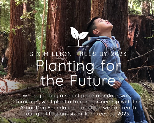 PLANTING FOR THE FUTURE