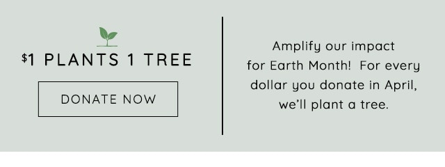 $1 PLANTS 1 TREE - DONATE NOW