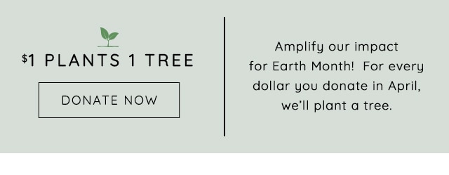 $1 PLANTS 1 TREE - DONATE NOW