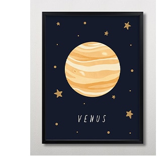 VENUS WALL ART