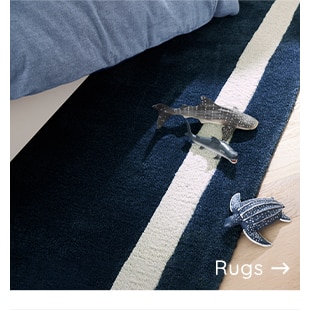 RUGS