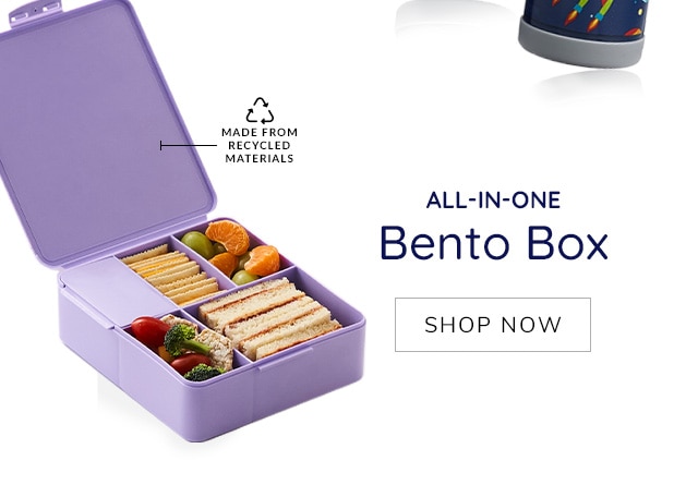 ALL-IN-ONE BENTO BOX