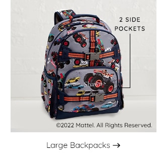 LARGE BACKPACKS