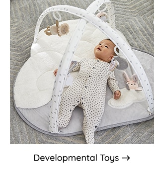 DEVELOPMENTAL TOYS