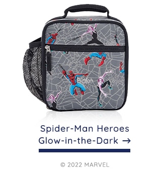 SPIDERMAN HEROS GLOW IN THE DARK