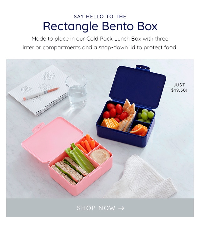 SAY HELLO TO THE RECTANGLE BENTO BOX