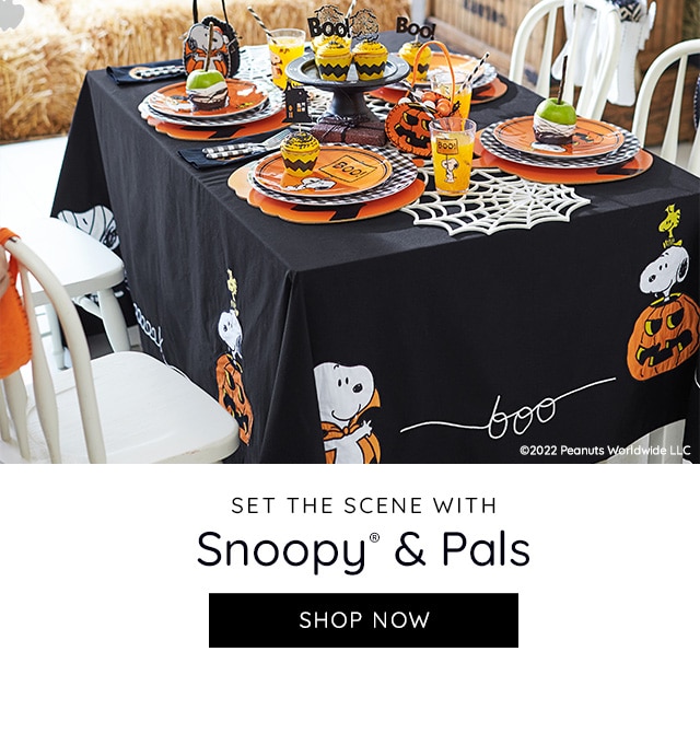 SET THE SCENE WITH SNOOPY AND PALS