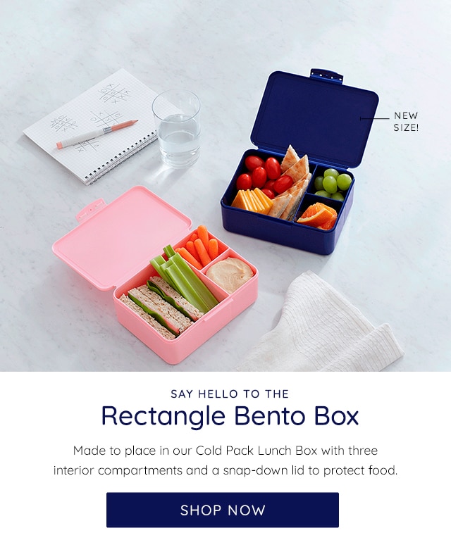 SAY HELLO TO THE RECTANGLE BENTO BOX