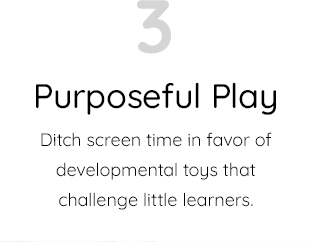 PURPOSEFUL PLAY