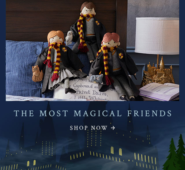 THE MOST MAGICAL FRIENDS