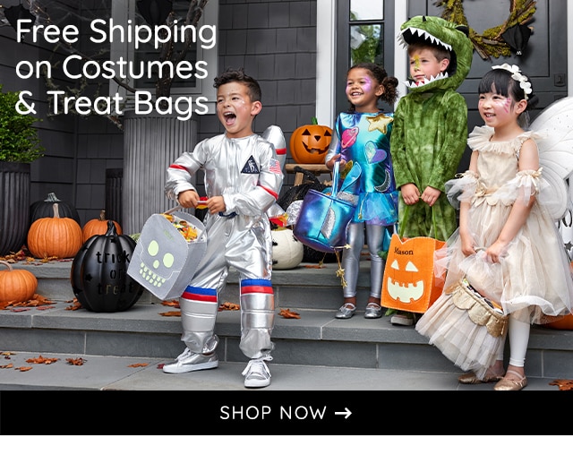 FREE SHIPPING ON COSTUMES AND TREAT BAGS