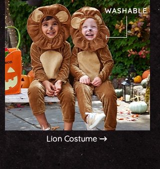 LION COSTUME