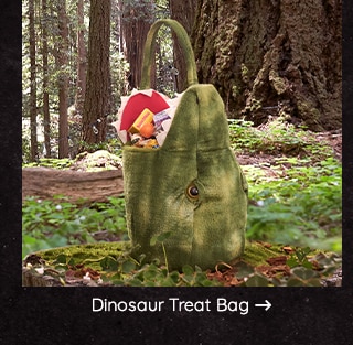 DINOSAUR TREAT BAG